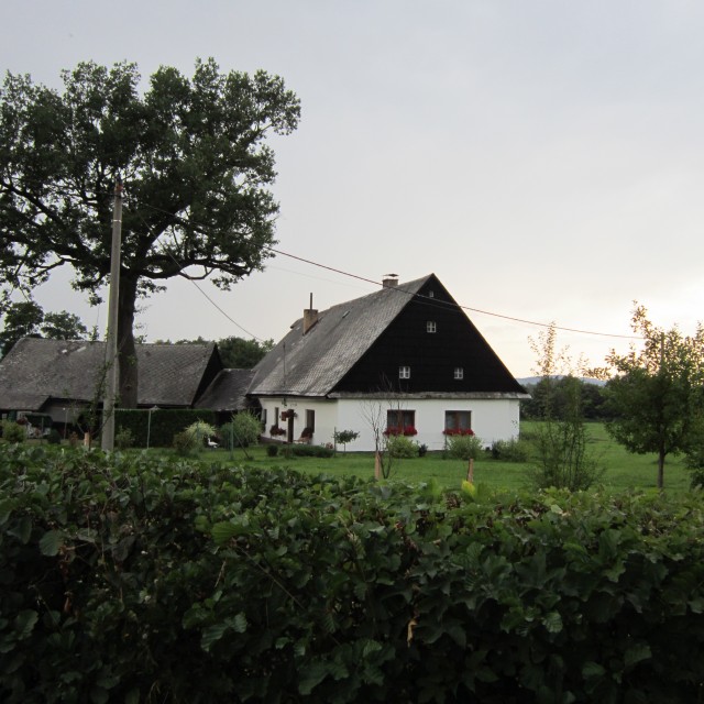 Králíky