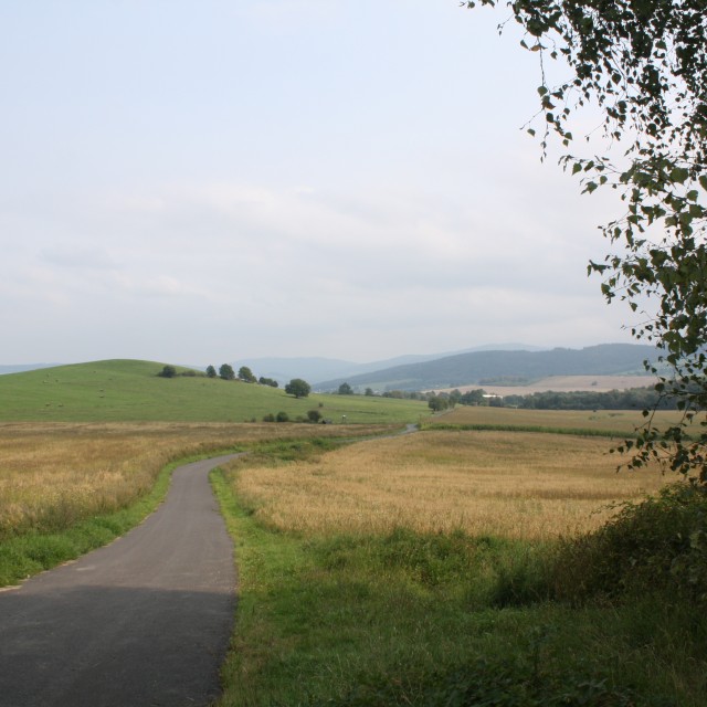Chudenín, louka