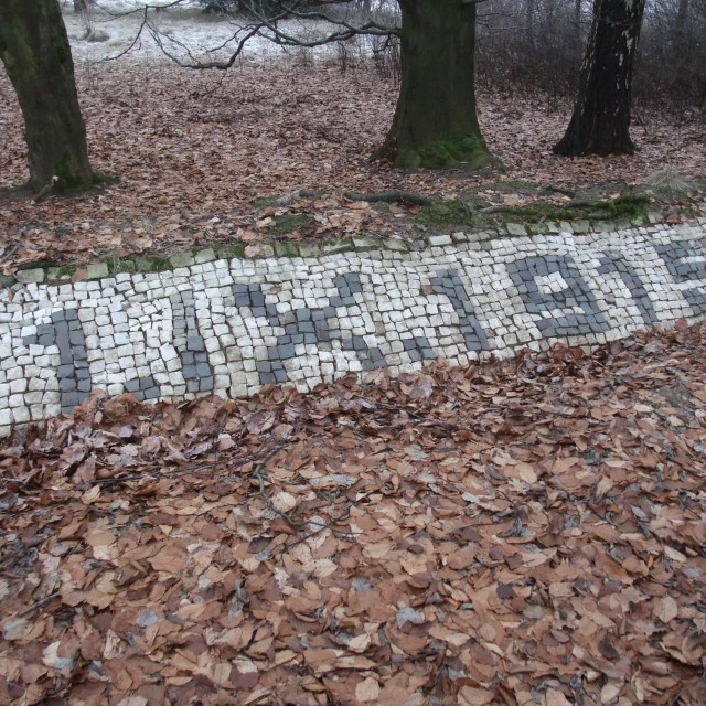 Aš, Benešův Palouček (Beneš´ Glade)