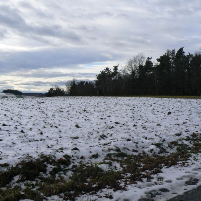 Vranov nad Dyjí, State Border