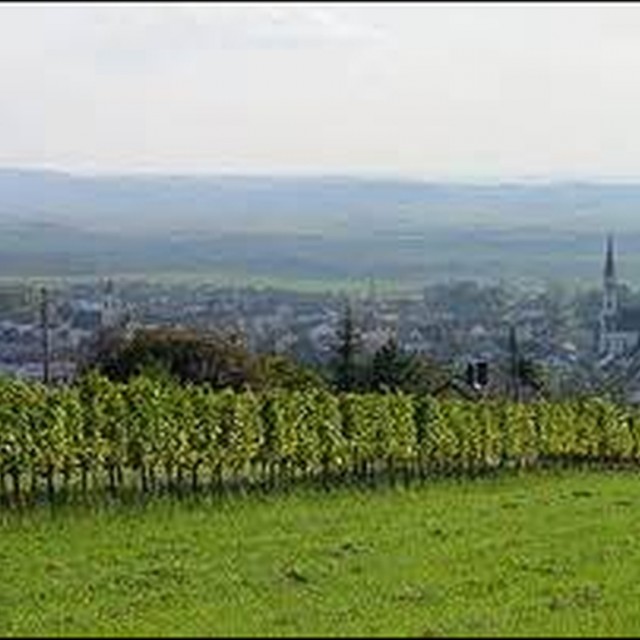 Rechnitz