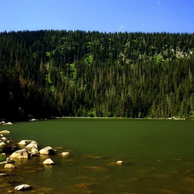 Plešné jezero Lake
