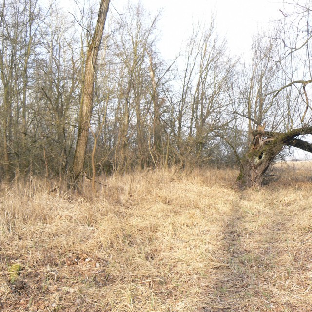 Hrušovany nad Jevišovkou