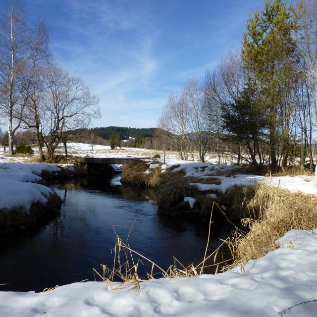 Řasnice a Mechový potok, soutok