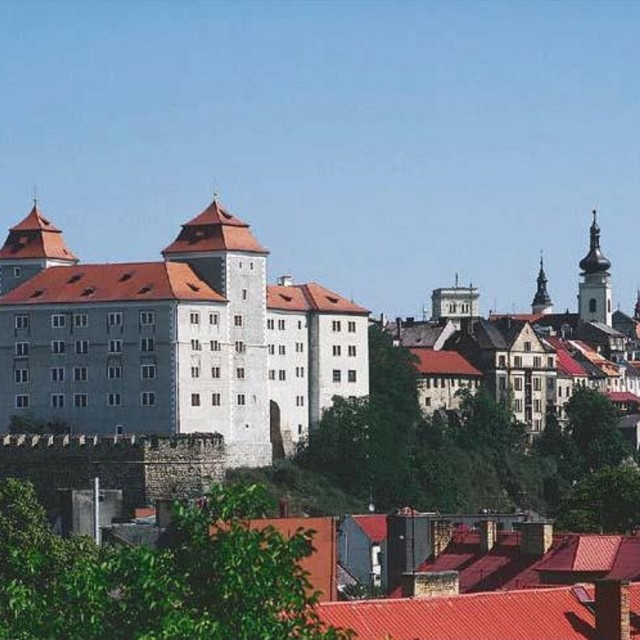 Mladá Boleslav, hrad