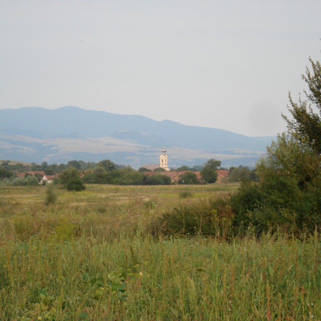 Ciuchici