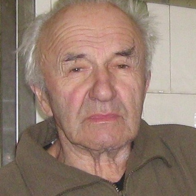 Josef Hroch
