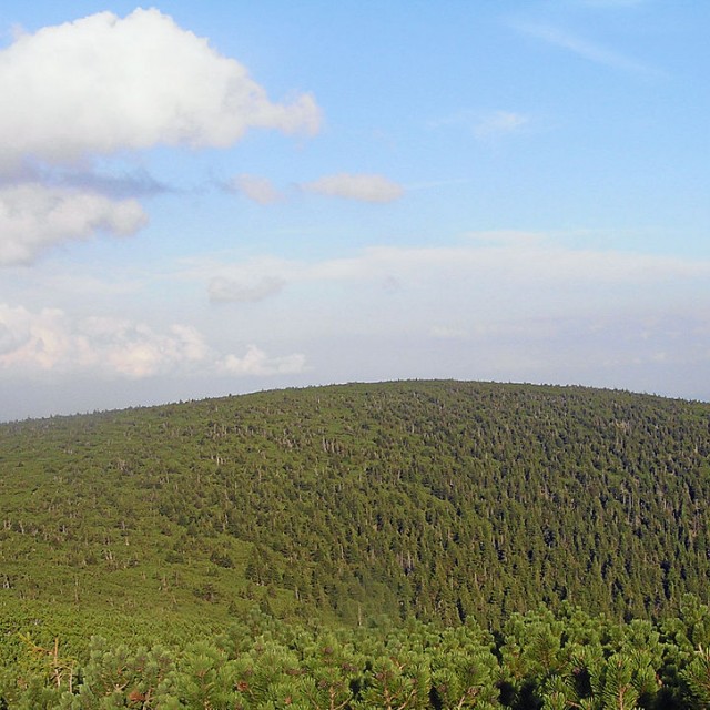 Svorová hora, Krkonoše