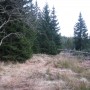 The end of the secluded place Torfstich