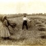 Scything on a mine field